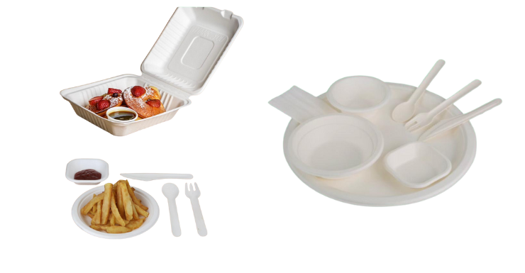 sugarcane-bagaase-tableware-detail905.png